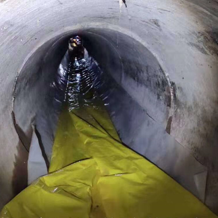 仙居管道光固化修复